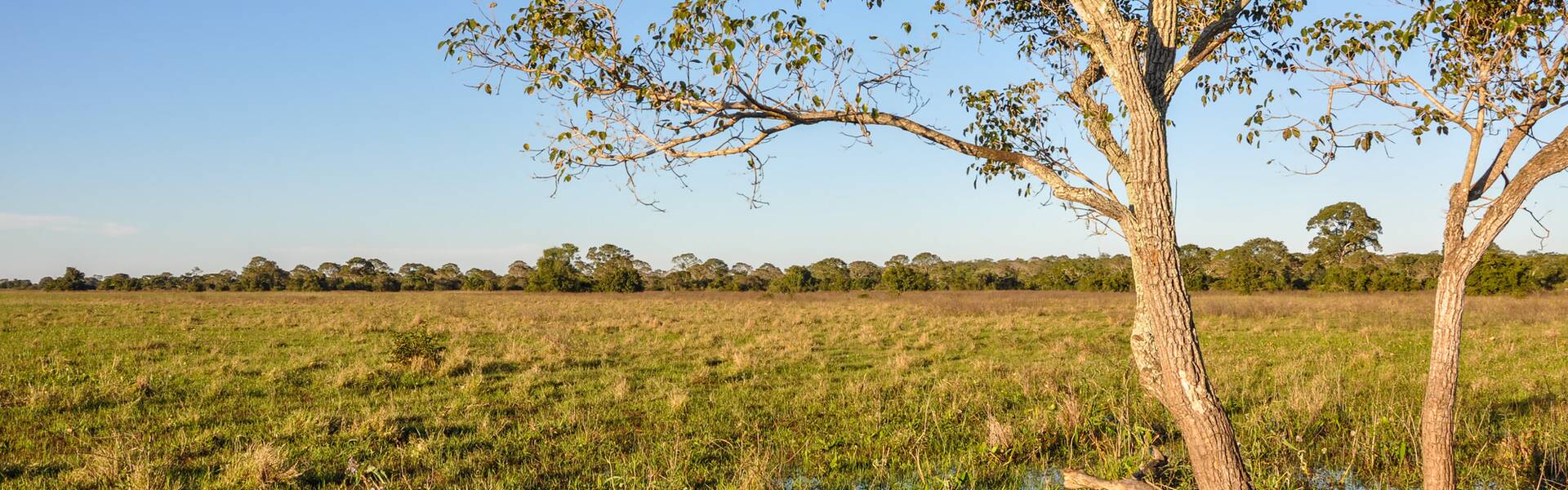 Mato Grosso do Sul Brasilien