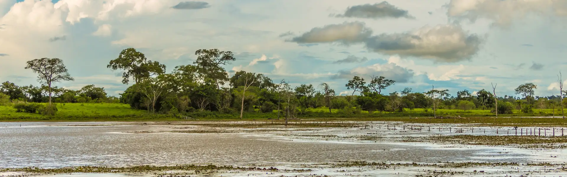 Mato Grosso Brasilien