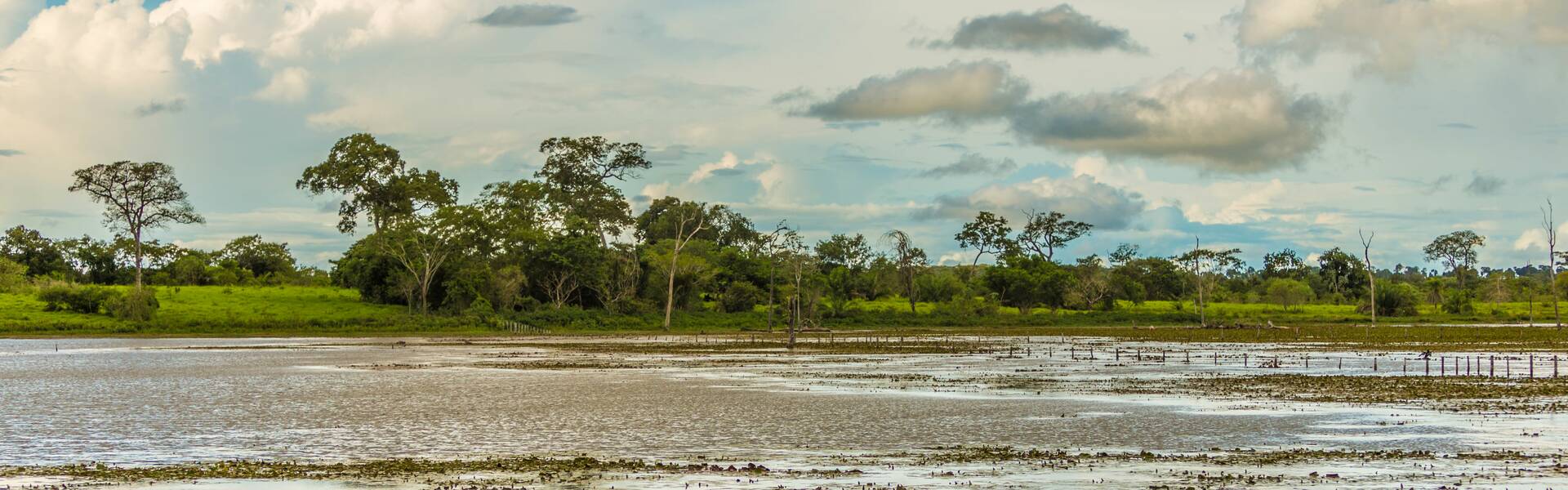 Mato Grosso Brasilien