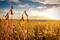 Brasilien Landwirtschaft