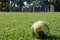 Fußball Brasilien