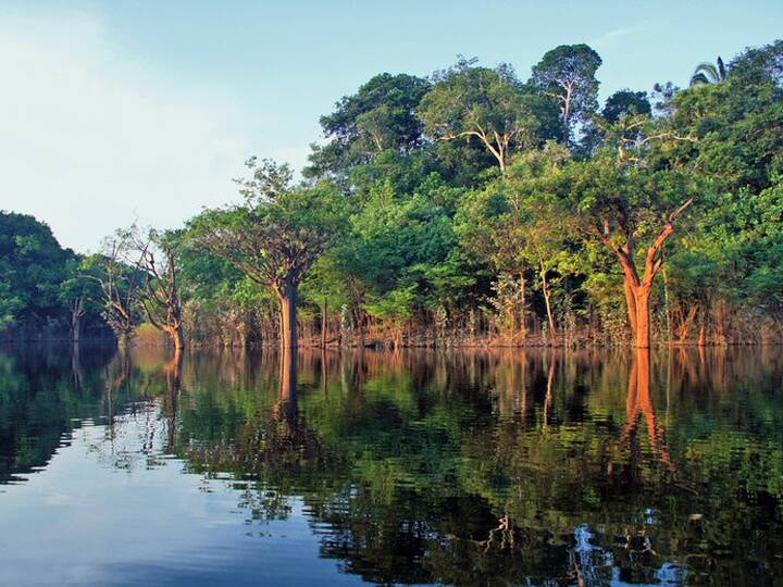 Amazonas Fluss