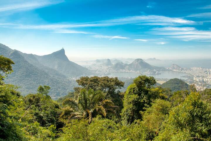 Nationalpark Tijuca Rio de Janeiro