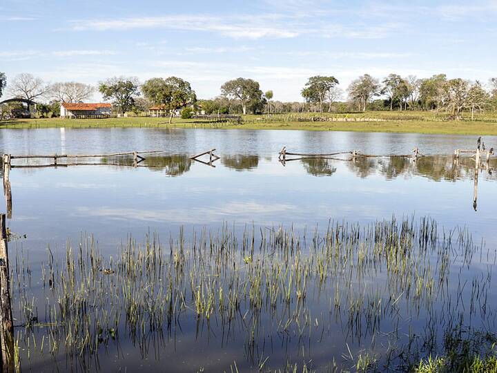 Pantanal Brasilien