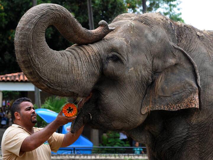 Zoo von Rio de Janeiro