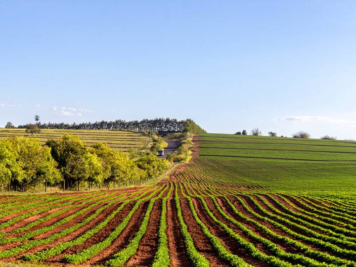 Brasilien Landwirtschaft