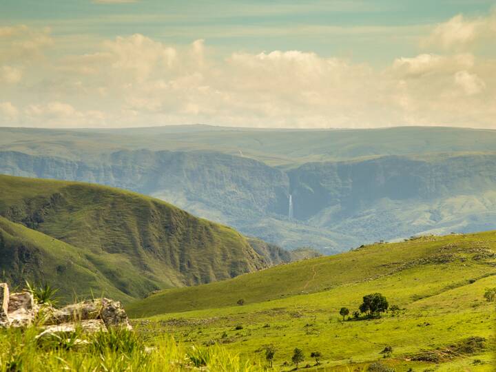 Die Cerrado-Region: Brasiliens unterschätztes Naturparadies Cerrado Brasilien