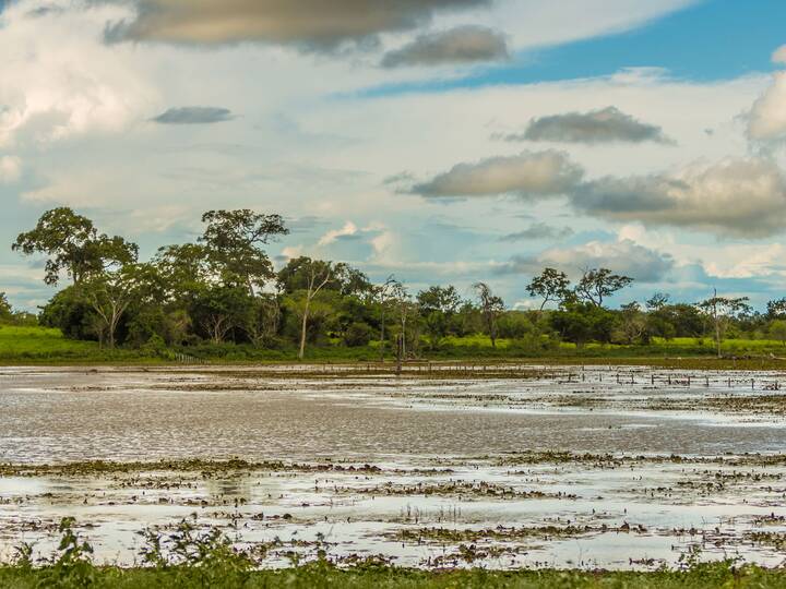 Mato Grosso Brasilien