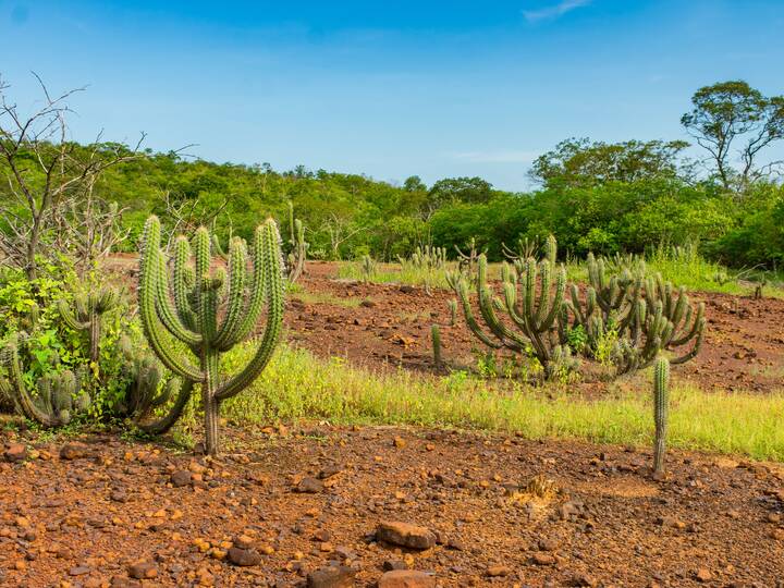 Piaui Brasilien