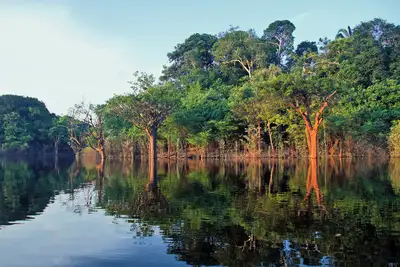 Amazonas Fluss