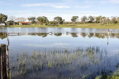 Pantanal Brasilien