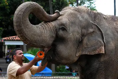 Zoo von Rio de Janeiro