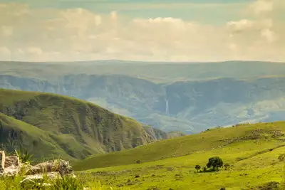 Die Cerrado-Region: Brasiliens unterschätztes Naturparadies Cerrado Brasilien